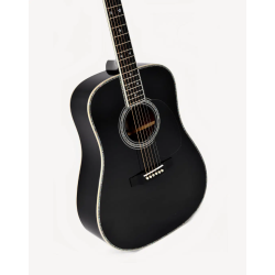 Sigma SDR-42 Nashville w. Softshell Case